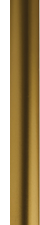 A gold colored metal object is shown in a close up view. AI generated content